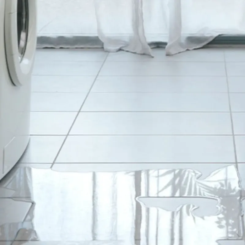 Appliance Leak Cleanup in Henderson, NV