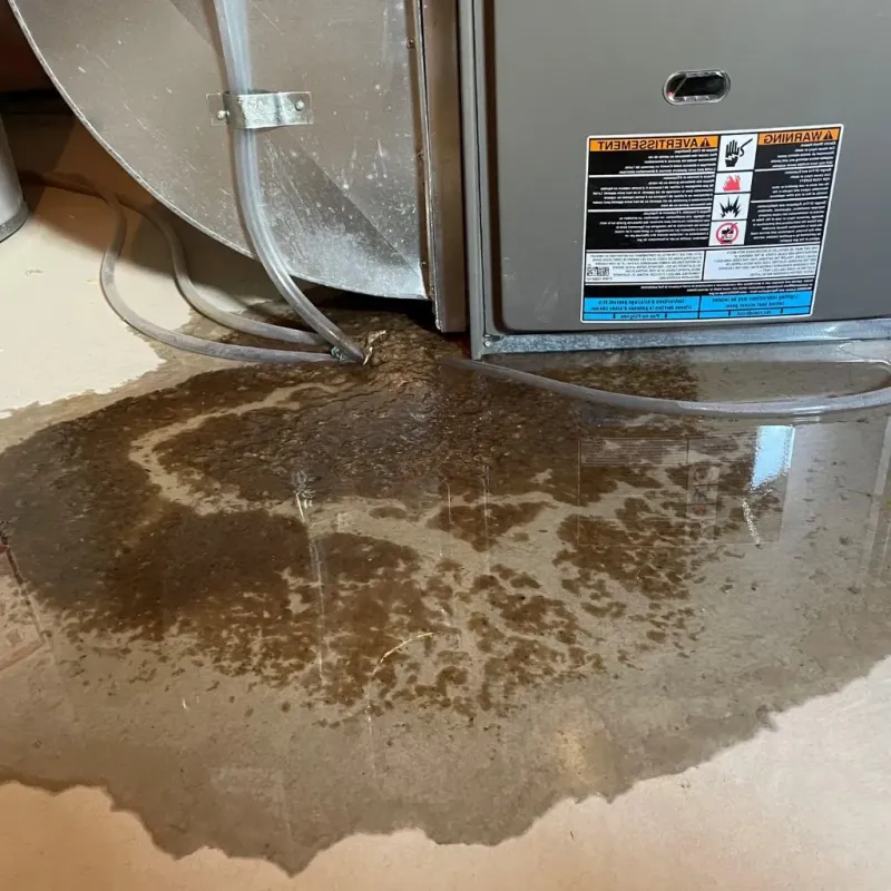 Pipe Burst and Leak Restoration in Henderson, NV